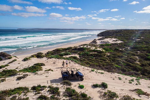 Small-Group Buggy Tour At Little Sahara With Guide - Accommodation ACT 1
