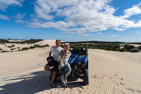 Small-Group Buggy Tour At Little Sahara With Guide - Accommodation ACT 2