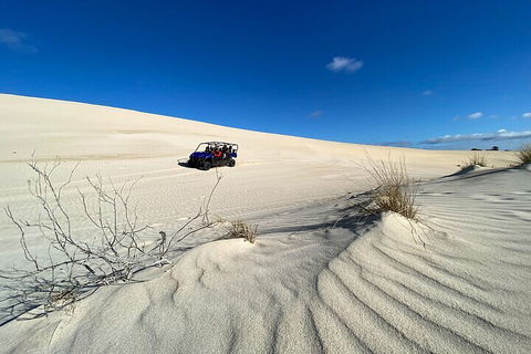 Small-Group Buggy Tour At Little Sahara With Guide - Accommodation ACT 3
