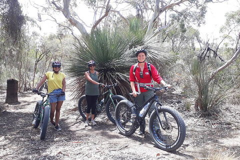 2 Hour Bike Tour In Kangaroo Island - Accommodation ACT 0