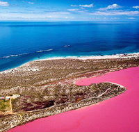 Pink Lake Small-Group Buggy Tour - Accommodation ACT