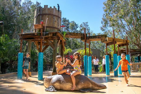Currumbin Wildlife Sanctuary General Entry Ticket - Accommodation ACT 5