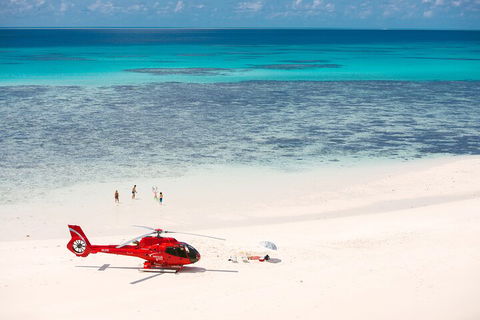 Private Helicopter Tour: Reef Island Snorkeling And Gourmet Picnic Lunch - Accommodation ACT 2