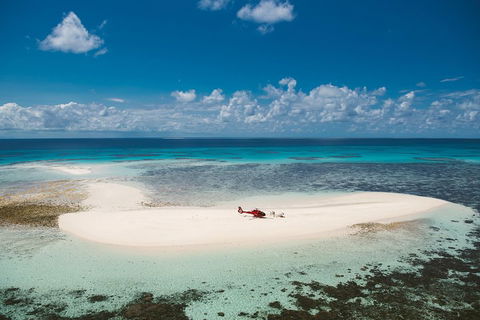 Private Helicopter Tour: Reef Island Snorkeling And Gourmet Picnic Lunch - Accommodation ACT 4