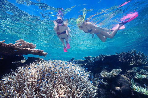 Great Barrier Reef Scenic Helicopter Tour And Cruise From Cairns - Accommodation ACT 3
