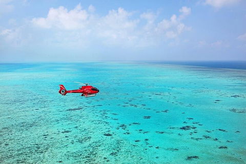 Great Barrier Reef 30-Minute Scenic Helicopter Tour From Cairns - Accommodation ACT 2