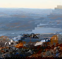 Mt. Wellington Bonorong and Richmond Day Tour from Hobart - Accommodation ACT