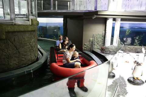 Sydney Attractions Pass: SEA LIFE Aquarium, Sydney Tower Eye, WILD LIFE Zoo And Madame Tussauds - Accommodation ACT 0