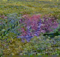 Litchfield Park  Daly River - Scenic Flight From Darwin - Accommodation ACT