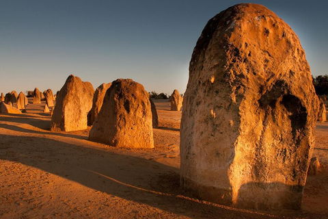 Wave Rock And Pinnacles Air & Ground Tour - Accommodation ACT 1