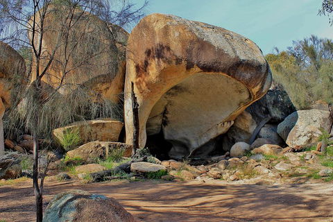 Wave Rock And Pinnacles Air & Ground Tour - Accommodation ACT 3