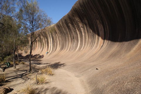 Wave Rock And Pinnacles Air & Ground Tour - Accommodation ACT 5