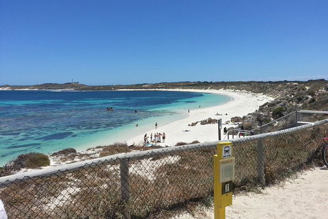 Wave Rock, Pinnacles And Rottnest One Day Aeroplane Tour - Accommodation ACT 2