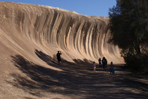 Wave Rock, Pinnacles And Rottnest One Day Aeroplane Tour - Accommodation ACT 4