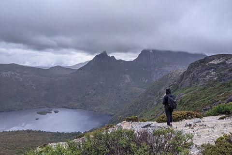 5-Day Best Of Tasmania Tour From Hobart - Accommodation ACT 3