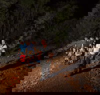 Alice Springs Desert Park Nocturnal Tour - Accommodation ACT