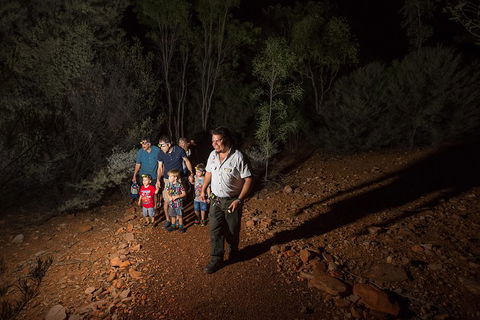 Alice Springs Desert Park Nocturnal Tour - Accommodation ACT 0