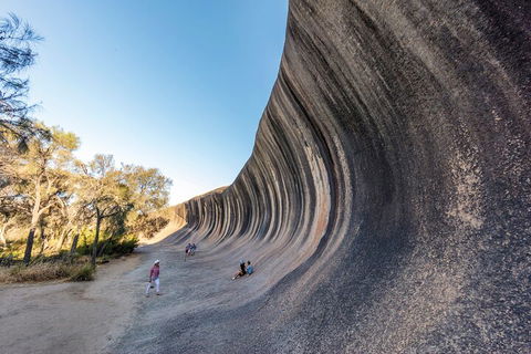 Full-Day Wave Rock & Historic York - Accommodation ACT 0