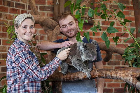 Private Tour: Blue Mountains Day Trip From Sydney - Accommodation ACT 0
