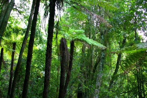 Private Tour: Blue Mountains Day Trip From Sydney - Accommodation ACT 4
