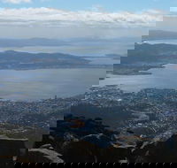 Mt Wellington Tour and MONA Admission - Accommodation ACT