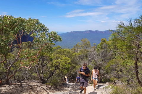 Blue Mountains Unique Small-Group Day Adventure With BBQ Lunch - Accommodation ACT 3