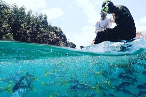 2 Night Small Group Whitsundays Sailing Adventure Aboard Mandrake - Accommodation ACT 5