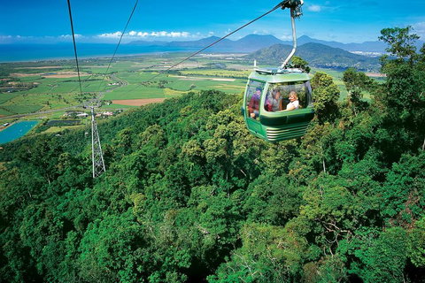 Cairns ATV Adventure Tour And Morning Skyrail - Accommodation ACT 2