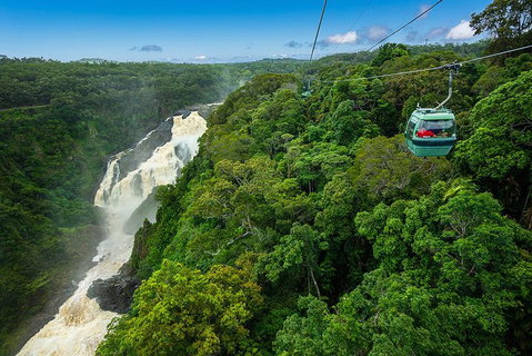 Cairns ATV Adventure Tour And Morning Skyrail - Accommodation ACT 3