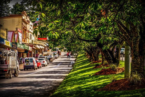 Fully Inclusive Blue Mountains Private Tour Inc Scenic World & Featherdale Entry - Accommodation ACT 0