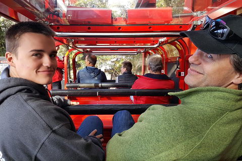 Fully Inclusive Blue Mountains Private Tour Inc Scenic World & Featherdale Entry - Accommodation ACT 1