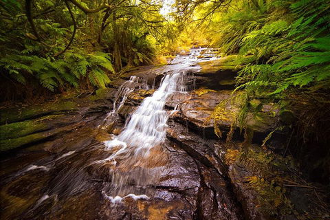 Fully Inclusive Blue Mountains Private Tour Inc Scenic World & Featherdale Entry - Accommodation ACT 3