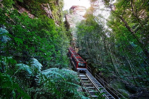 Fully Inclusive Blue Mountains Private Tour Inc Scenic World & Featherdale Entry - Accommodation ACT 4