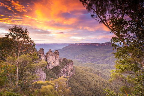 Fully Inclusive Blue Mountains Private Tour Inc Scenic World & Featherdale Entry - Accommodation ACT 5