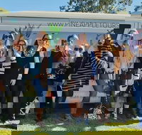Full Day Mount Tamborine Winery Tour from Gold Coast - Accommodation ACT