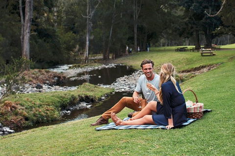 Mt Tamborine - Hinterland Wonders Self Guided - Accommodation ACT 0