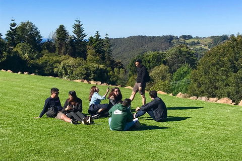 Mt Tamborine - Hinterland Wonders Self Guided - Accommodation ACT 1
