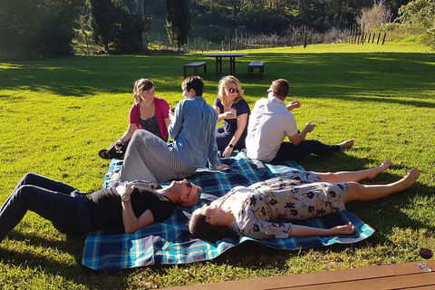 Mt Tamborine - Hinterland Wonders Self Guided - Accommodation ACT 2