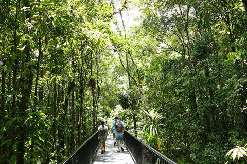 Daintree Dreaming Traditional Aboriginal Fishing From Cairns Or Port Douglas - Accommodation ACT 3