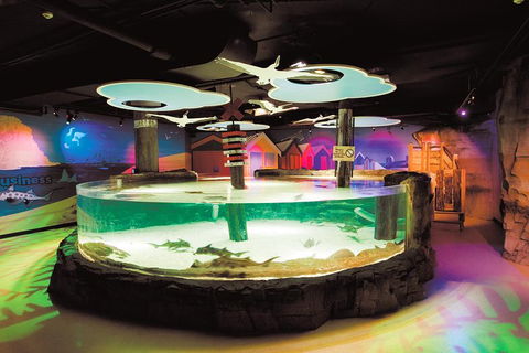 SEA LIFE Melbourne Aquarium Admission Ticket - Accommodation ACT 5