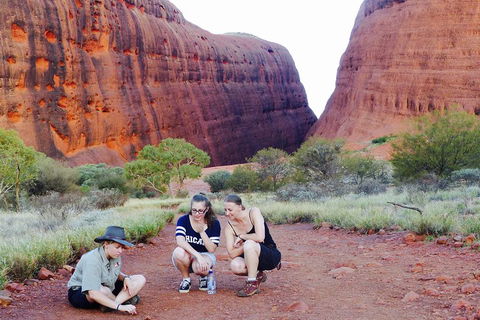 Afternoon Kata Tjuta Small Group Tour - Accommodation ACT 2