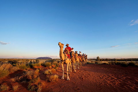 Uluru Small-Group Tour By Camel At Sunrise Or Sunset - Accommodation ACT 3