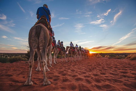Uluru Small-Group Tour By Camel At Sunrise Or Sunset - Accommodation ACT 5