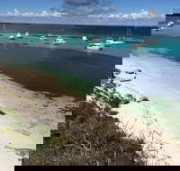 Experience Rottnest with Ferry  Bike Hire from Perth or Fremantle - Accommodation ACT