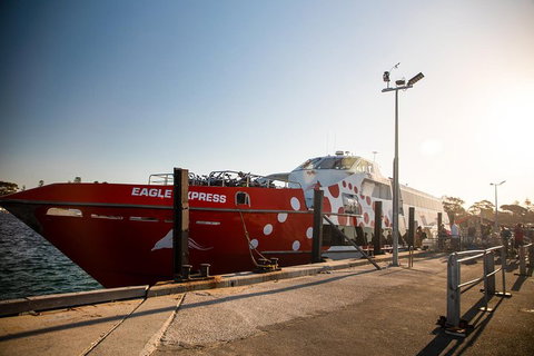 Rottnest Island Round-Trip Ferry From Perth Or Fremantle - Accommodation ACT 2