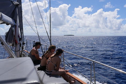 Ocean Free Green Island & Great Barrier Reef Snorkel Cruise, Cairns 25 Guests - Accommodation ACT 4