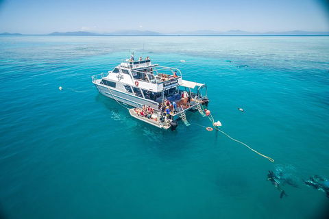 Ocean Freedom Great Barrier Reef Personal Luxury Snorkel & Dive Cruise, Cairns - Accommodation ACT 0