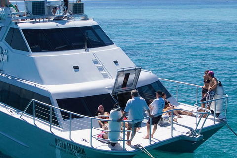 Ocean Freedom Great Barrier Reef Personal Luxury Snorkel & Dive Cruise, Cairns - Accommodation ACT 1