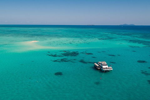 Ocean Freedom Great Barrier Reef Personal Luxury Snorkel & Dive Cruise, Cairns - Accommodation ACT 2