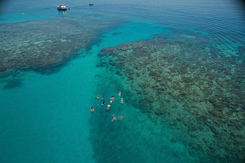 Ocean Freedom Great Barrier Reef Personal Luxury Snorkel & Dive Cruise, Cairns - Accommodation ACT 3